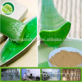 Aloe Vera gel Freeze Dried Powder 200:1